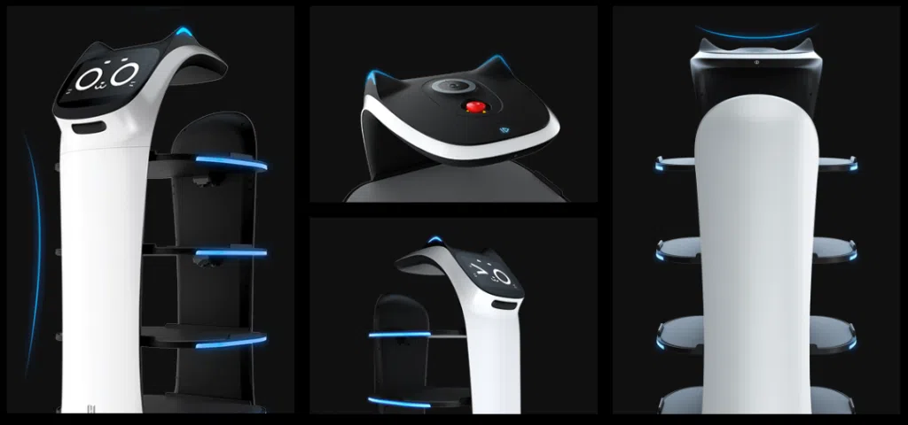 bellabot diseño