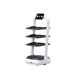 robot pudubot2